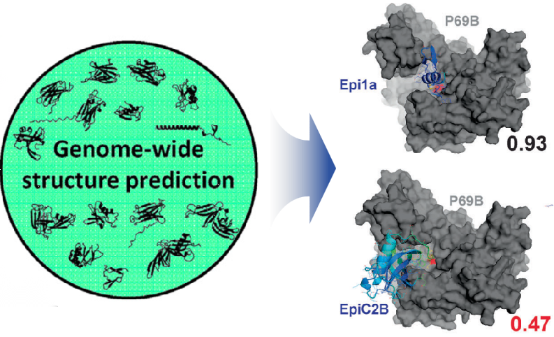 Effector Prediction